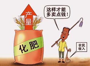 合理使用化肥，實現增產增收的關鍵策略